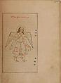 Kitab suwar al-kawakib al-thabita (Book of the Images of the Fixed Stars) of al-Sufi, `Abd al-Rahman al-Sufi (Iranian, Rey 903–986 Shiraz), Ink, opaque watercolor, and gold on paper