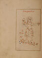 Kitab suwar al-kawakib al-thabita (Book of the Images of the Fixed Stars) of al-Sufi, `Abd al-Rahman al-Sufi (Iranian, Rey 903–986 Shiraz), Ink, opaque watercolor, and gold on paper
