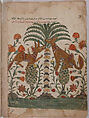 "Kalila Upbraiding Dimna", Folio from a Kalila wa Dimna, Ink and opaque watercolor on paper