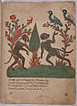 "The Birds and the Monkeys with the Glow Worm", Folio from a Kalila wa Dimna, Ink and opaque watercolor on paper