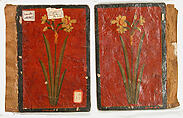 Bookbinding (Jild-i kitab), Pasteboard; painted and lacquered