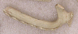Fragment of a Handle with Wavy Band and Rosette-Shaped Thumb Rest, Earthenware; molded and applied