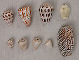 Bead, Shell