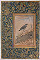"Diving Dipper and Other Birds", Folio from the Shah Jahan Album, Painting by Mansur (active ca. 1589–1626), Ink, opaque watercolor, and gold on paper