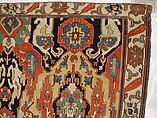 Carpet, Cotton (warp), wool (weft); symmetrically woven pile