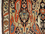 Carpet, Cotton (warp), wool (weft); symmetrically woven pile