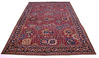 Vase Carpet, Cotton (warp and weft), wool (pile); asymmetrically knotted pile