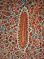 Coat (Choga), Wool; embroidered