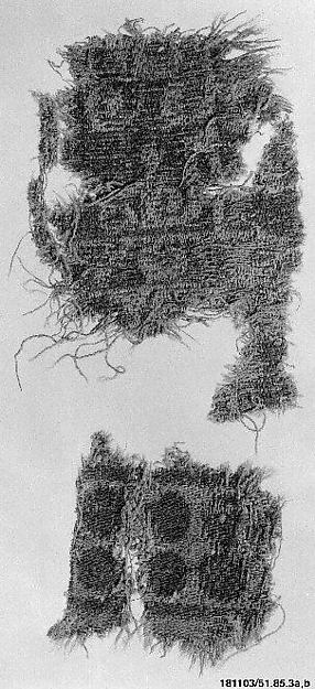 Carpet Fragment