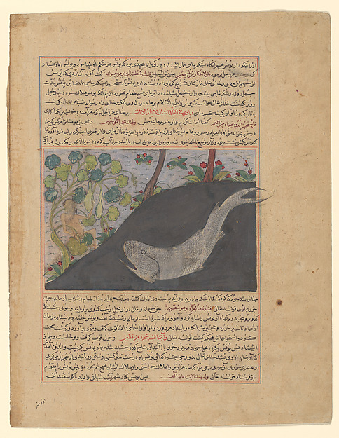 "Jonah and the Whale", Folio from a Majma' al-Tavarikh (Compendium of Histories) of Hafiz-i Abru by Hafiz-i Abru