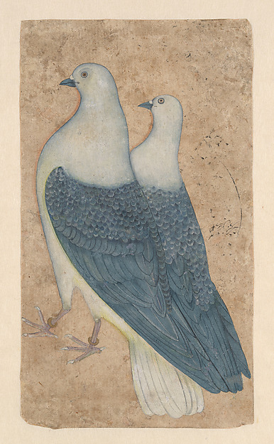 Two Pigeons by an unrecorded maker, The Metropolitan Museum of Art