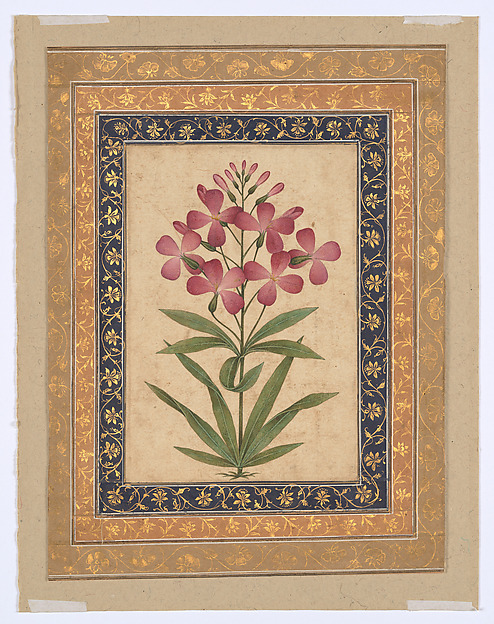 Botanical Painting: Geranium by an unrecorded maker, The Metropolitan Museum of Art