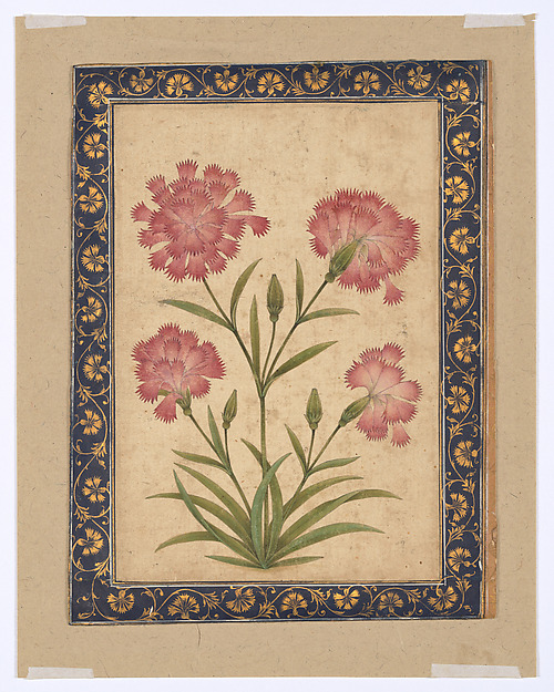 Botanical Painting: Dianthus by an unrecorded maker, The Metropolitan Museum of Art