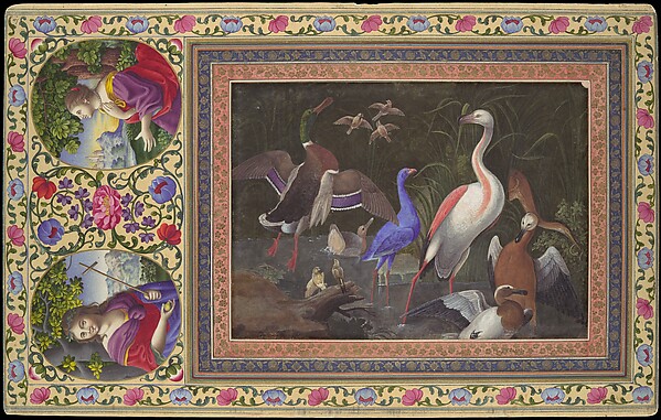 "Aquatic Birds at a Pool", Folio from the Davis Album