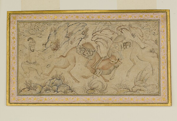 Two Camels Fighting