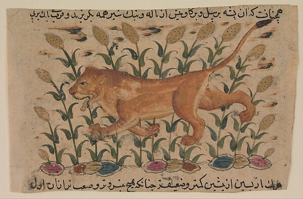 " A Lion", Folio from a Dispersed Nuzhatnama-i ‘Ala’i of Shahmardan ibn Abi’l Khayr by Shamardan ibn Abi 'l Khayr, The Metropolitan Museum of Art