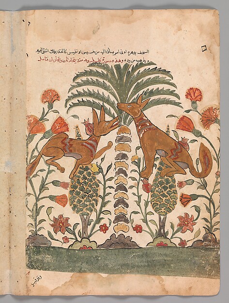 "Kalila Upbraiding Dimna", Folio from a Kalila wa Dimna by an unrecorded maker, The Metropolitan Museum of Art