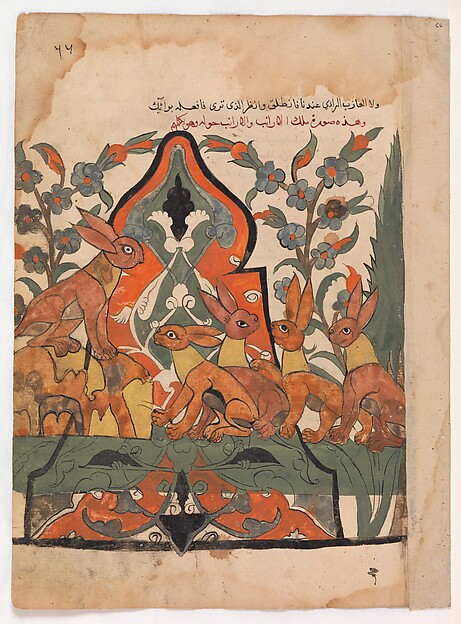 "The King of the Hares in Counsel with his Subjects", Folio from a Kalila wa Dimna