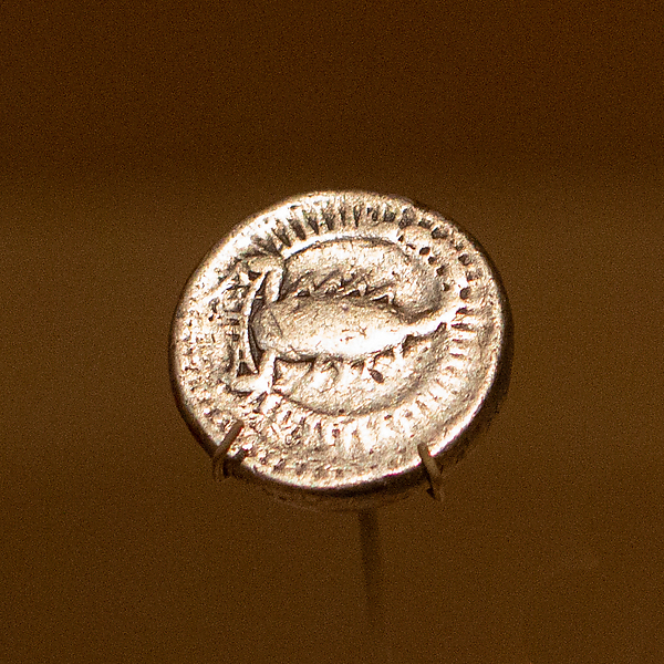 Coin