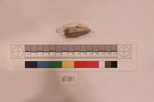 Stucco Fragment by an unrecorded maker, The Metropolitan Museum of Art