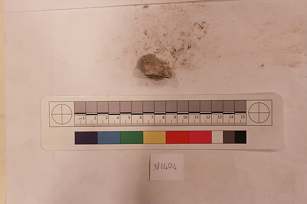 Stucco Fragment