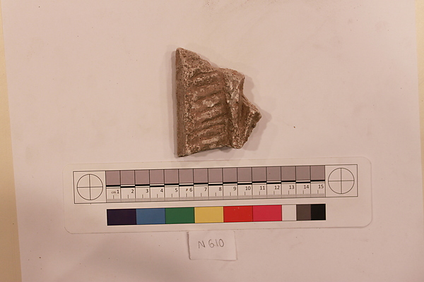 Stucco Fragment