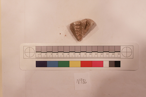 Stucco Fragment