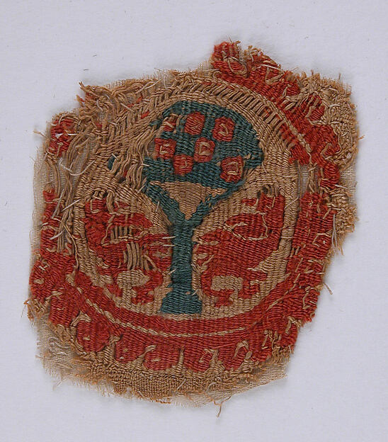 Textile Fragment