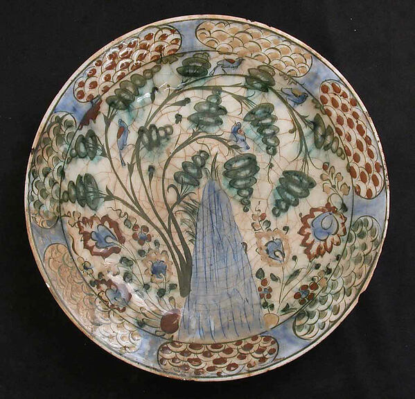 Dish