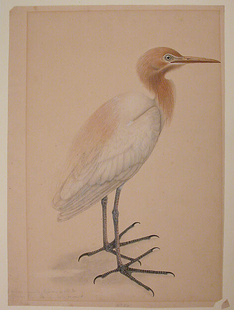 A Heron by an unrecorded maker, The Metropolitan Museum of Art