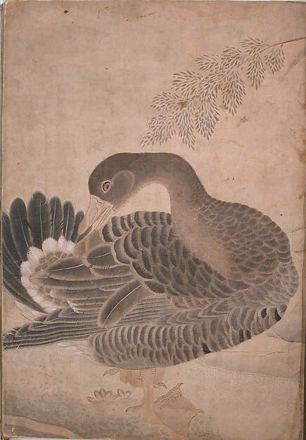 "Goose Preening its Tail," Folio from the Bellini Album