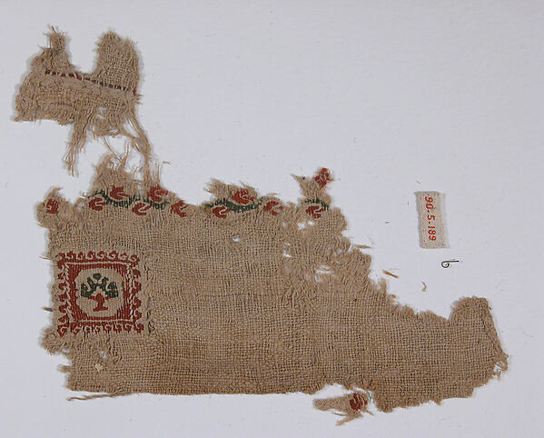 Textile Fragment