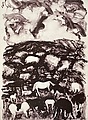 Image for Horses