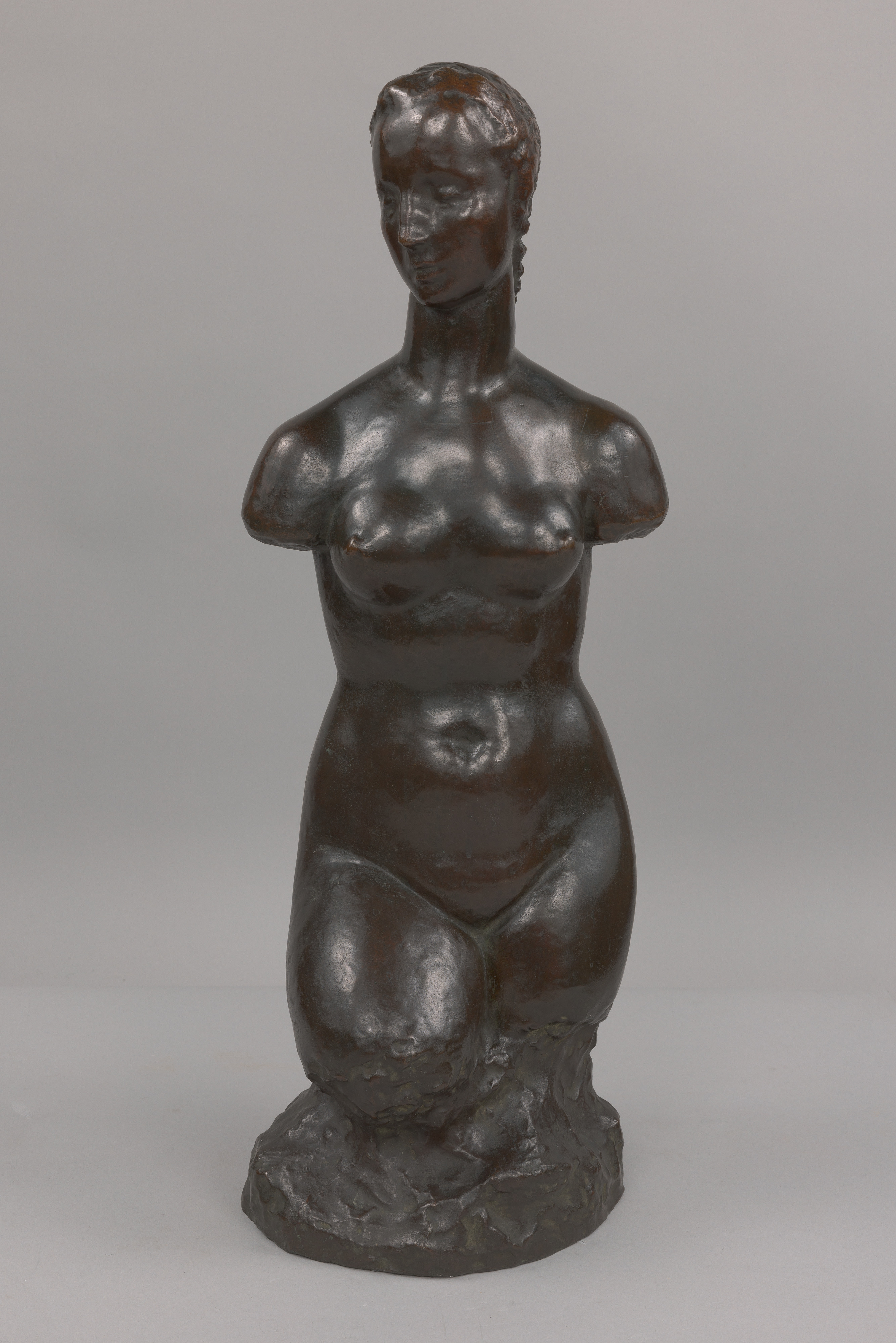 Small Female Torso