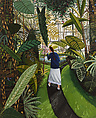 The Conservatory, David Bates  American, Oil on canvas