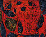 Models for Synthetic Pictures, Terry Winters (American, born Brooklyn, New York, 1949), Portfolio of twelve intaglio prints, each combining open bite etching, soft ground etching, sugar lift aquatint, and spit bite aquatint printed in five colors