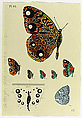 ¦The Album Series¦, Donald Sultan (American, born Asheville, North Carolina, 1951), Lithograph, woodcut, etching (print a); screenprint, relief, embossing (hand-coloring) (print b); lithograph, woodcut, etching and metal foil stamping (print c)