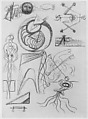 Untitled (Psychoanalytic Drawing), Jackson Pollock (American, Cody, Wyoming 1912–1956 East Hampton, New York), Colored pencil on paper (recto) ; colored pencil on paper (verso)