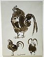 Roosters, Jane Poupelet  French, Ink and wash with graphite on paper