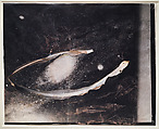 Astral Snake, Anselm Kiefer  German, Torn and pasted gelatin silver print, shellac, and watercolor on gelatin silver print