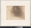 15 Etchings, Anish Kapoor (British born India 1954), Portfolio of 15 etchings, title page, colophon and velvet covered box