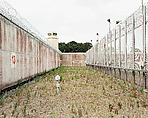 The Maze/Long Kesh Prison: Inertia Stage 13, Donovan Wylie Irish, Inkjet print