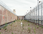 The Maze/Long Kesh Prison: Inertia Stage 16, Donovan Wylie  Irish, Inkjet print