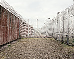 The Maze/Long Kesh Prison: Sterile, Phase 1, Donovan Wylie  Irish, Inkjet print