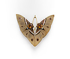 "Moth" Pendant, Lucien Gaillard French, Pendant: Gold, champlevé enamel, citrines, carved horn; Box: cardboard, silk