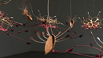 Seven ponds and a few raindrops, Ranjani Shettar (Indian, born Bangalore, 1977), Muslin, stainless steel, tamarind and natural dyes