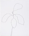 Orange, Ellsworth Kelly American, Graphite on paper