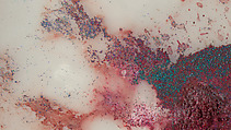 My Strength Lies, Wangechi Mutu (Kenyan-American, born Nairobi, 1972), Ink, acrylic, photomechanically printed cut and pasted paper, contact paper, metallic sequin and glitter on two mylar sheets