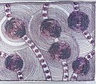 Panel, Unknown Designer, Silk, rayon, cotton thread, sequins and beads