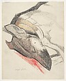 Sleeping Dog, Joseph Stella  American, Crayon and charcoal on paper